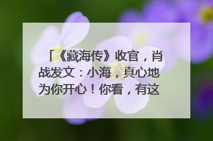 《藏海传》收官，肖战发文：小海，真心地为你开心！你看，有这么多人懂你！