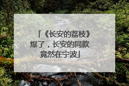 《长安的荔枝》爆了，长安的同款竟然在宁波