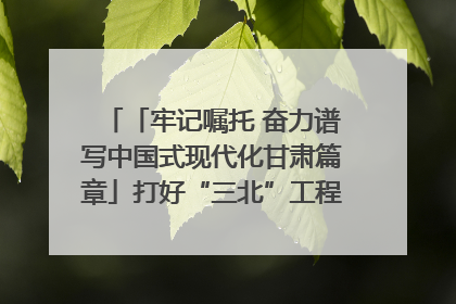 「牢记嘱托 奋力谱写中国式现代化甘肃篇章」打好“三北”工程攻坚战 筑牢国家西部生态安全屏障