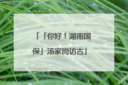 「你好！湖南国保」汤家岗访古