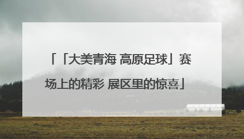 「大美青海 高原足球」赛场上的精彩 展区里的惊喜