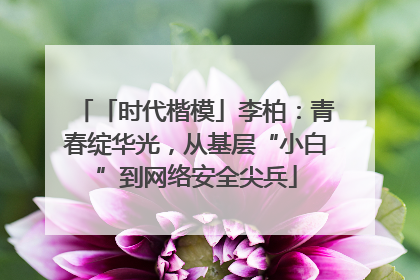「时代楷模」李柏：青春绽华光，从基层“小白”到网络安全尖兵