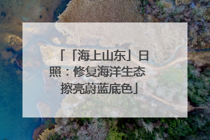 「海上山东」日照：修复海洋生态 擦亮蔚蓝底色