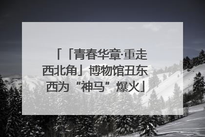 「青春华章·重走西北角」博物馆丑东西为“神马”爆火