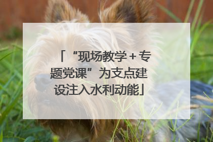 “现场教学＋专题党课”为支点建设注入水利动能