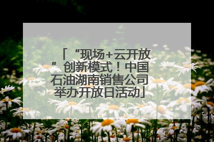“现场+云开放”创新模式！中国石油湖南销售公司举办开放日活动