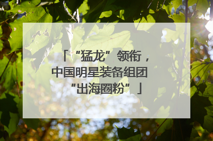 “猛龙”领衔，中国明星装备组团“出海圈粉”