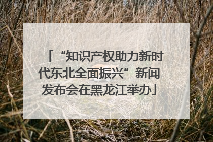 “知识产权助力新时代东北全面振兴”新闻发布会在黑龙江举办