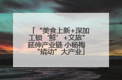 “美食上新+深加工锁‘鲜’+文旅”延伸产业链 小杨梅“撬动”大产业