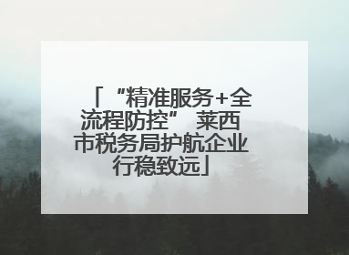 “精准服务+全流程防控” 莱西市税务局护航企业行稳致远