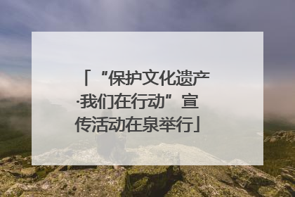 “保护文化遗产·我们在行动”宣传活动在泉举行