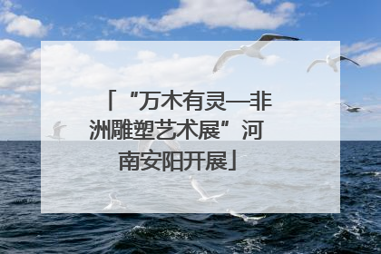 “万木有灵—非洲雕塑艺术展”河南安阳开展
