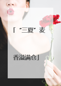 “三夏”麦香溢满仓