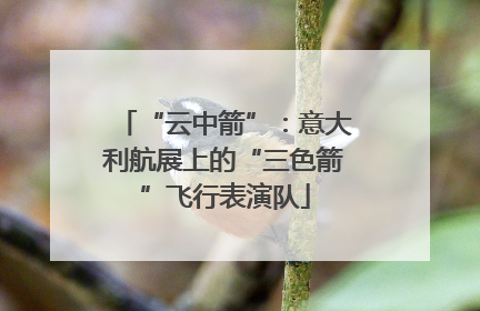 “云中箭”：意大利航展上的“三色箭”飞行表演队