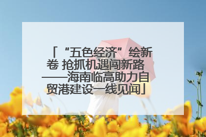 “五色经济”绘新卷 抢抓机遇闯新路——海南临高助力自贸港建设一线见闻
