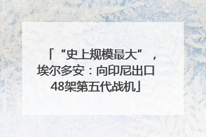 “史上规模最大”，埃尔多安：向印尼出口48架第五代战机