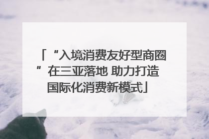 “入境消费友好型商圈”在三亚落地 助力打造国际化消费新模式