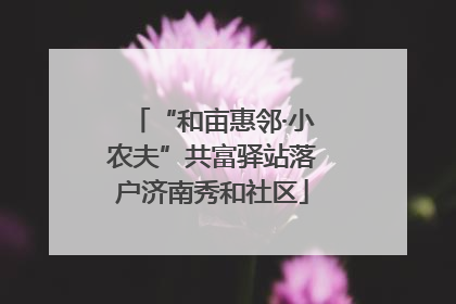 “和亩惠邻·小农夫”共富驿站落户济南秀和社区