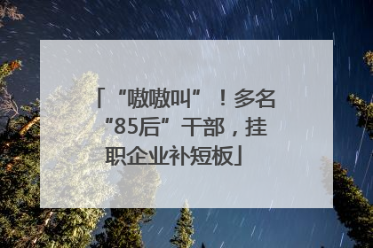 “嗷嗷叫”！多名“85后”干部，挂职企业补短板