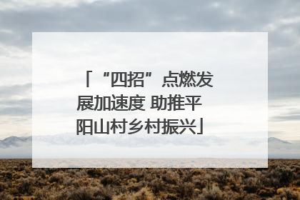 “四招”点燃发展加速度 助推平阳山村乡村振兴