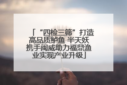 “四检三筛”打造高品质鲈鱼 半天妖携手闽威助力福鼎渔业实现产业升级