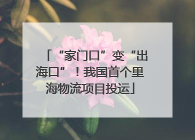 “家门口”变“出海口”！我国首个里海物流项目投运