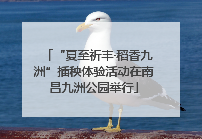 “夏至祈丰·稻香九洲”插秧体验活动在南昌九洲公园举行