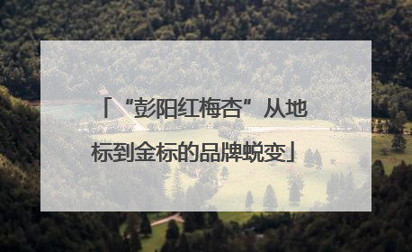“彭阳红梅杏”从地标到金标的品牌蜕变