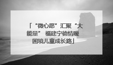 “微心愿”汇聚“大能量” 福建宁德情暖困境儿童成长路