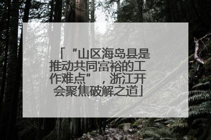 “山区海岛县是推动共同富裕的工作难点”，浙江开会聚焦破解之道
