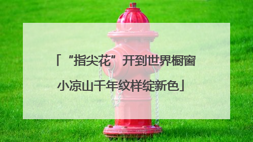 “指尖花”开到世界橱窗 小凉山千年纹样绽新色