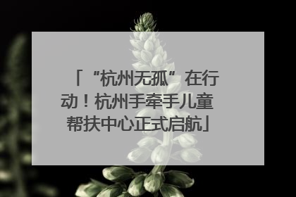 “杭州无孤”在行动！杭州手牵手儿童帮扶中心正式启航