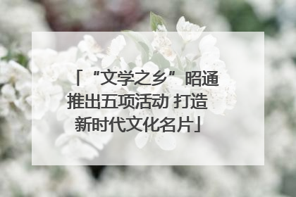 “文学之乡”昭通推出五项活动 打造新时代文化名片