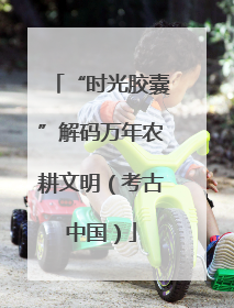 “时光胶囊”解码万年农耕文明（考古中国）