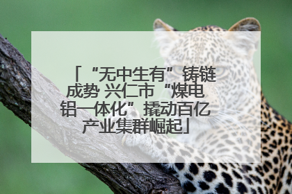 “无中生有”铸链成势 兴仁市“煤电铝一体化”撬动百亿产业集群崛起