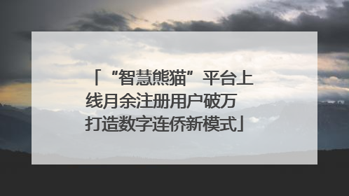 “智慧熊猫”平台上线月余注册用户破万 打造数字连侨新模式