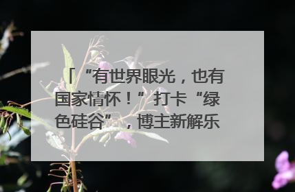 “有世界眼光，也有国家情怀！”打卡“绿色硅谷”，博主新解乐山｜网络名人四川行