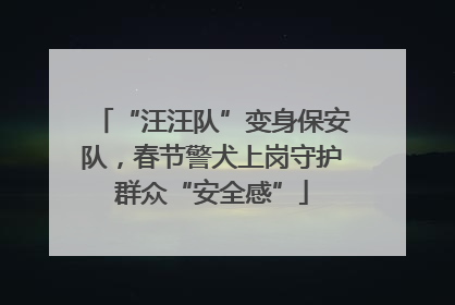 “汪汪队”变身保安队，春节警犬上岗守护群众“安全感”