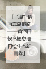 “湿”情画意鸟翩跹——黄河口候鸟栖息地再绘生态新画卷