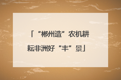 “郴州造”农机耕耘非洲好“丰”景