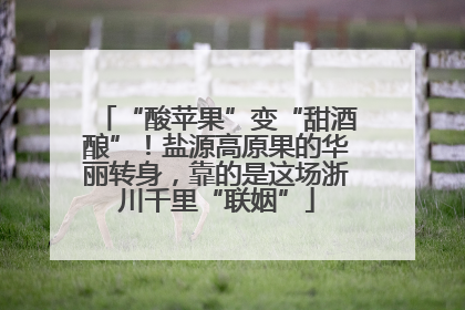 “酸苹果”变“甜酒酿”！盐源高原果的华丽转身，靠的是这场浙川千里“联姻”