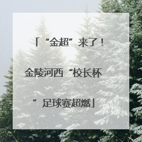 “金超”来了！金陵河西“校长杯”足球赛超燃