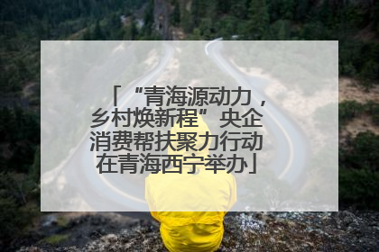 “青海源动力，乡村焕新程”央企消费帮扶聚力行动在青海西宁举办