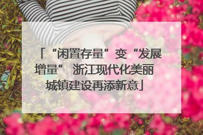 “闲置存量”变“发展增量” 浙江现代化美丽城镇建设再添新意