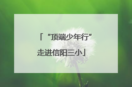 “顶端少年行”走进信阳三小