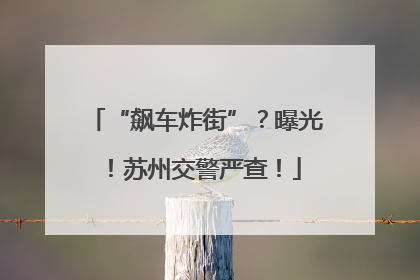 “飙车炸街”？曝光！苏州交警严查！
