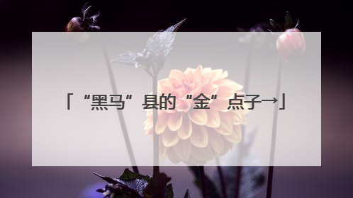 “黑马”县的“金”点子→