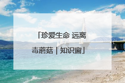珍爱生命 远离毒蘑菇｜知识窗