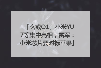 玄戒O1、小米YU7等集中亮相，雷军：小米芯片要对标苹果