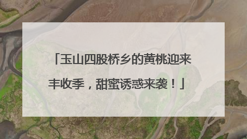 玉山四股桥乡的黄桃迎来丰收季，甜蜜诱惑来袭！